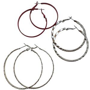 Assorted Whimsy Fashion Hoop Earrings Mixed Designs Textured Twisted Silver Pink